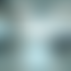 Prevenção de Pragas: Dicas para Empresas Seguras