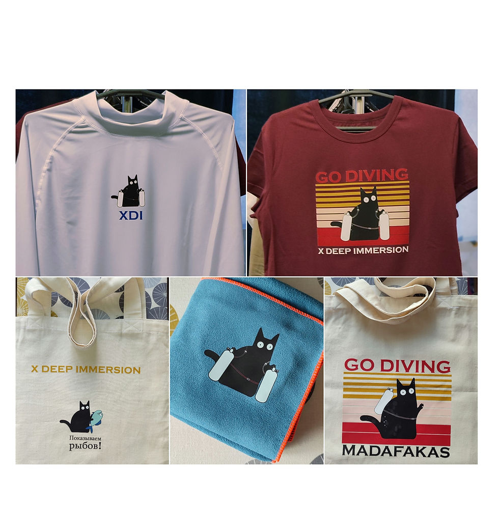 Миниатюра: Custom t-shirt