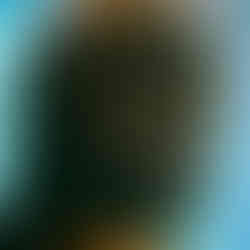 Web Design Portfolio