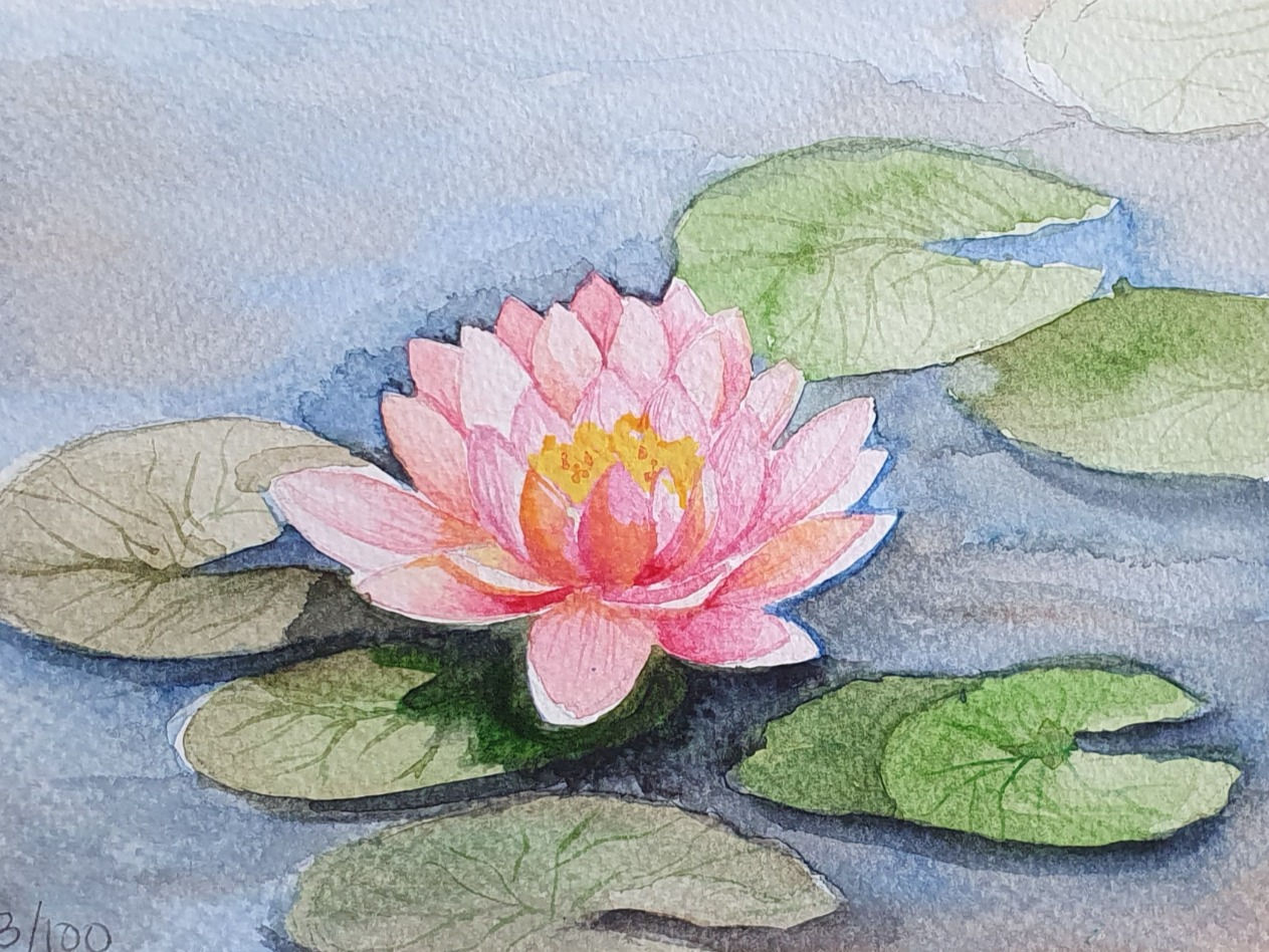 THE LOTUS