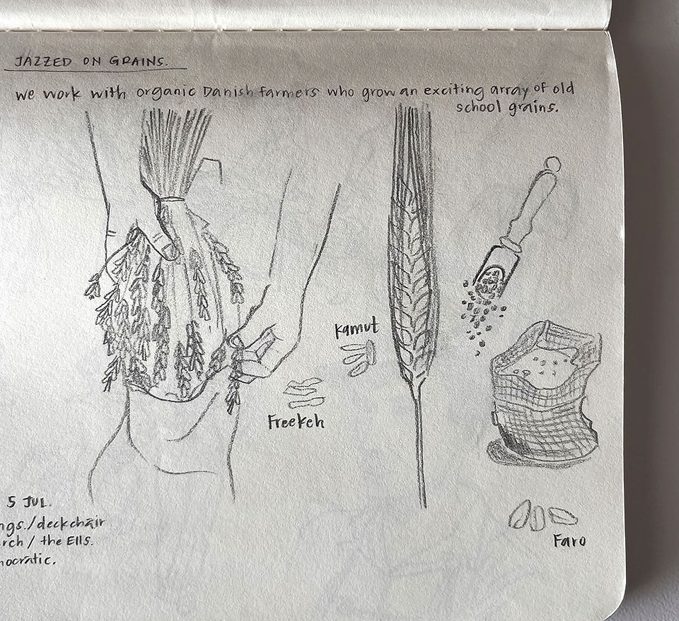 Close-up on sketch journal of grains by Smarti.