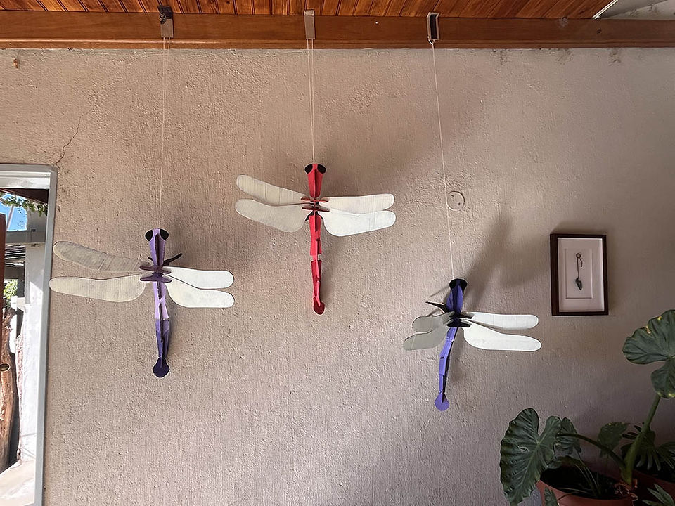 Dragonfly trio installation by thesmarti.
