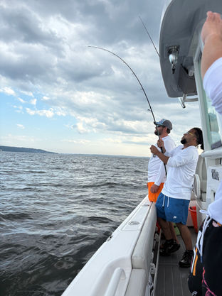 Striper Battle