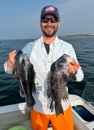 Black Seabass