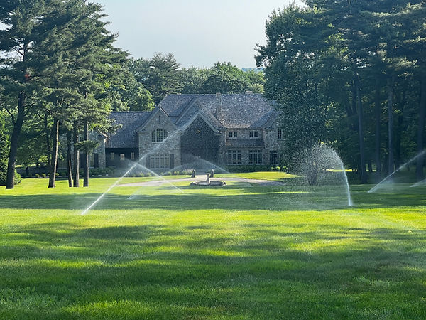 Lawn irrigation 1.jpg