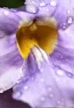 unnamed.webp