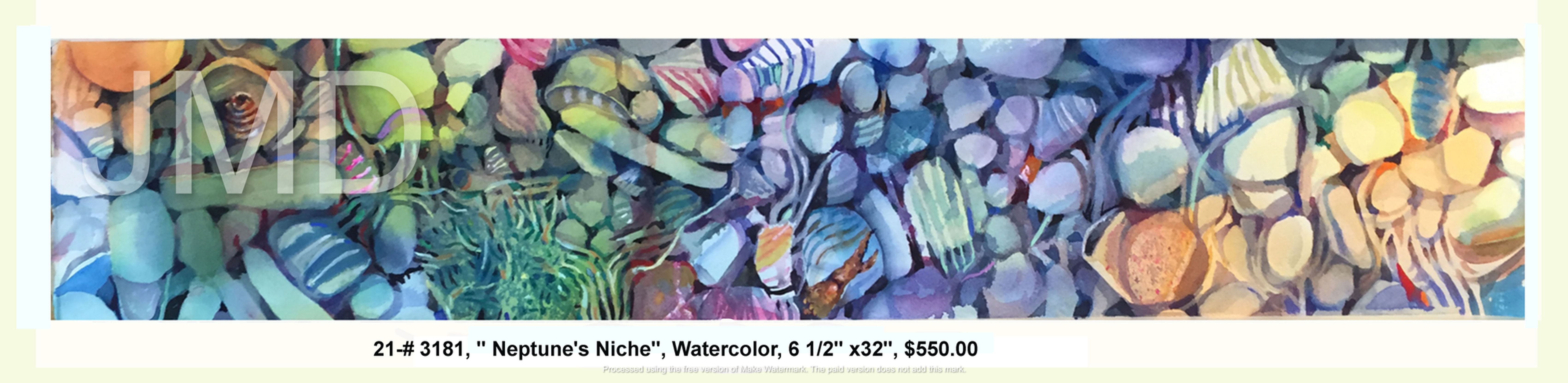 Neptune's Niche (21-#3181)