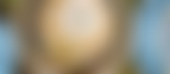 Greetings from Salt Lake City with the League of American Orchestras!