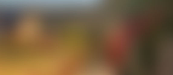 Travel Insurance: Don't Leave Home Without It