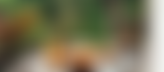 Ready for Virtuoso Travel Week!