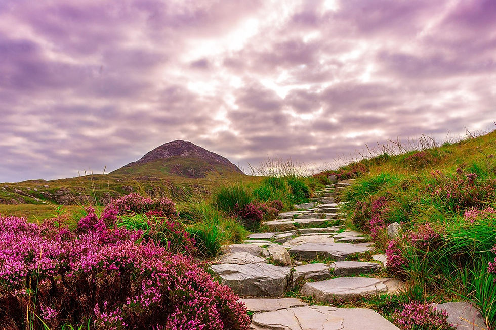 Best Places for Spring Flowers