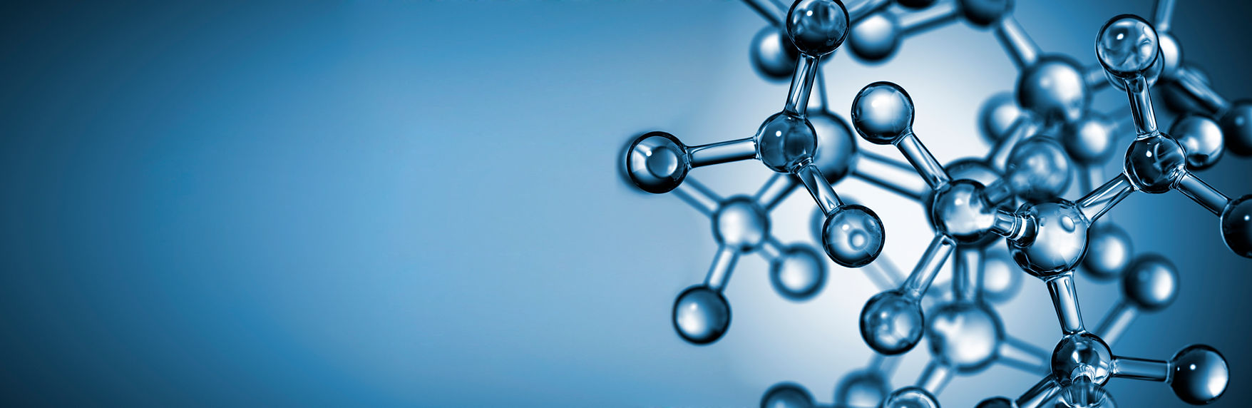 newcatalystc 복사.jpg