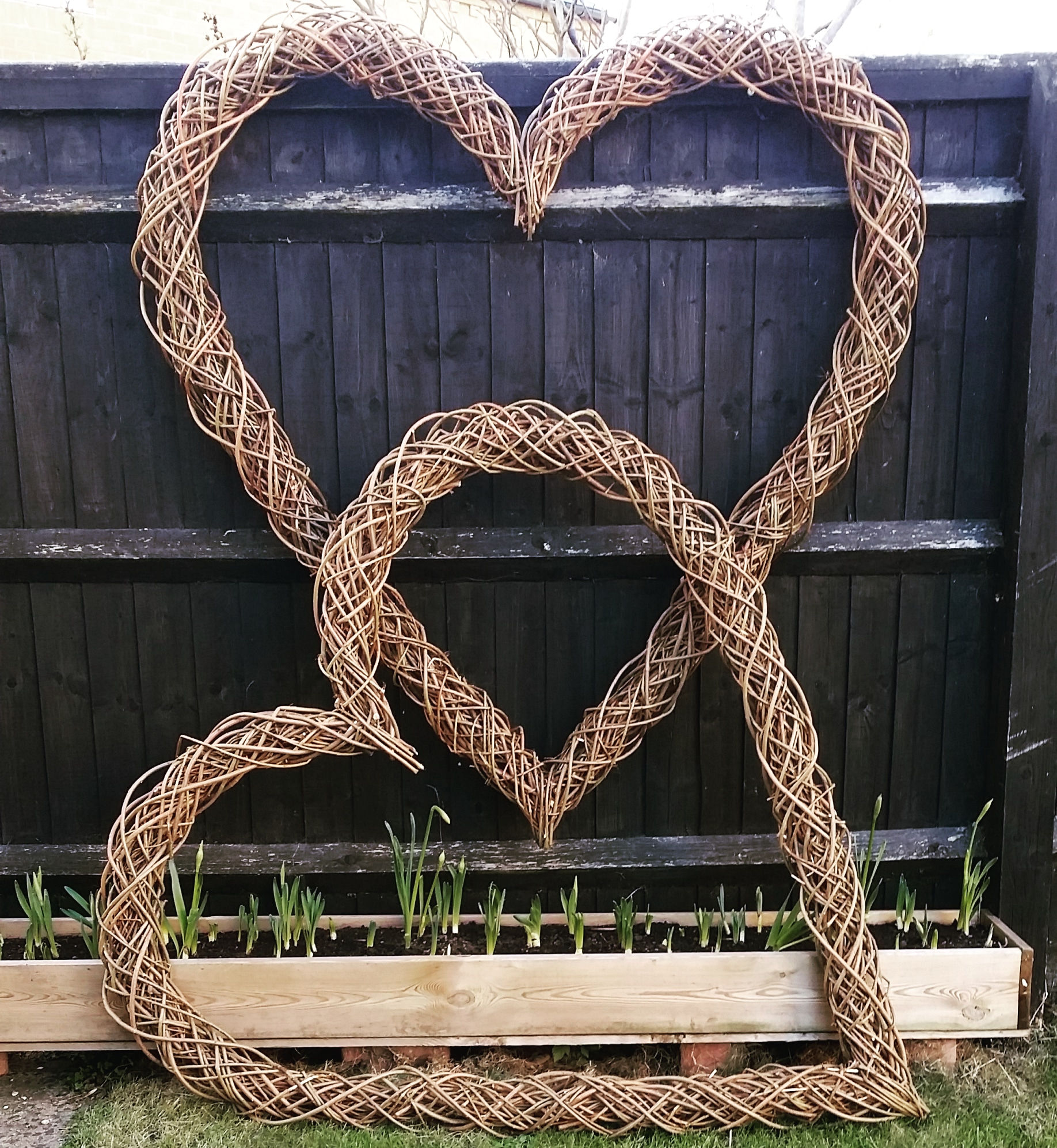 Two very large woven hearts made from willow