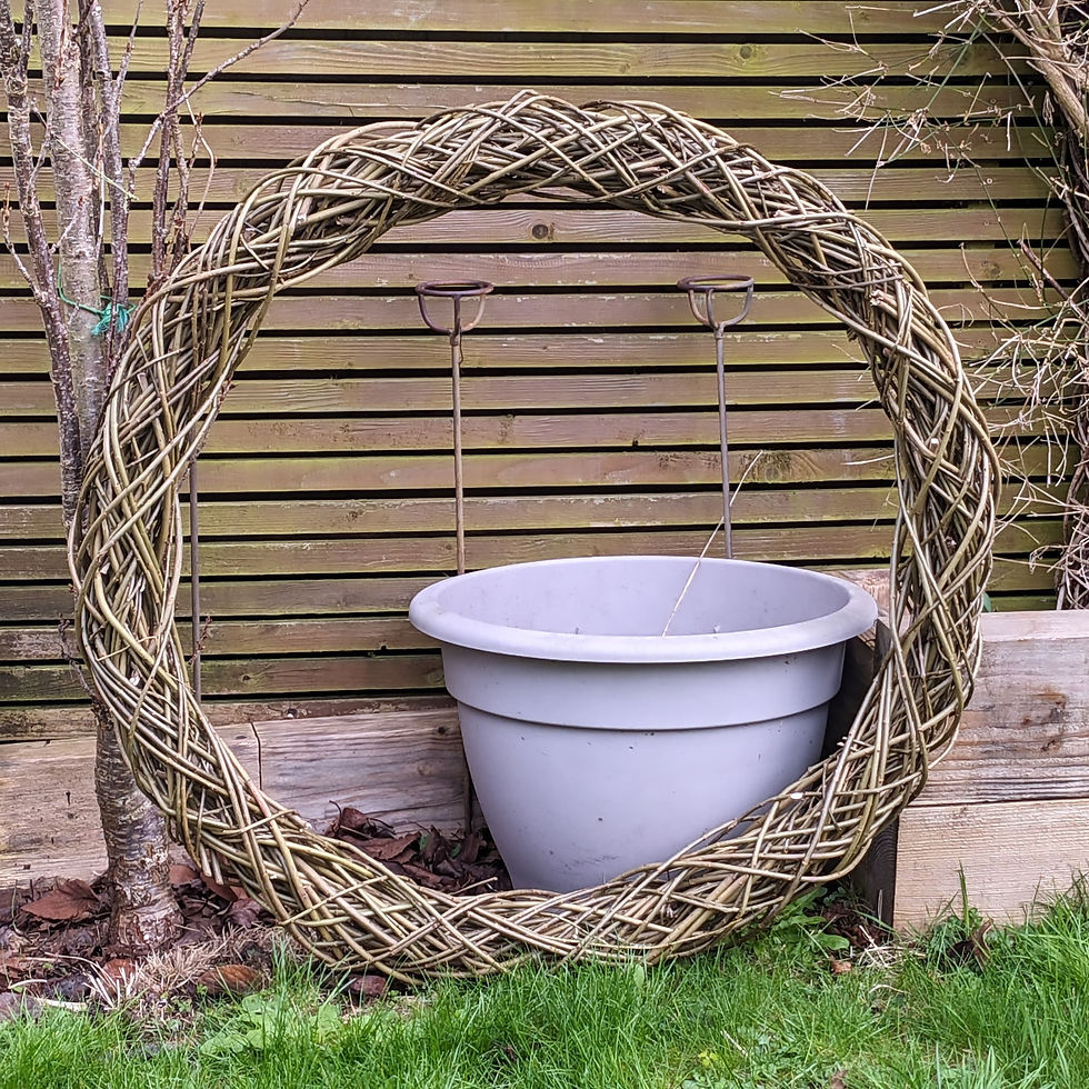 Thumbnail: Giant willow hoop