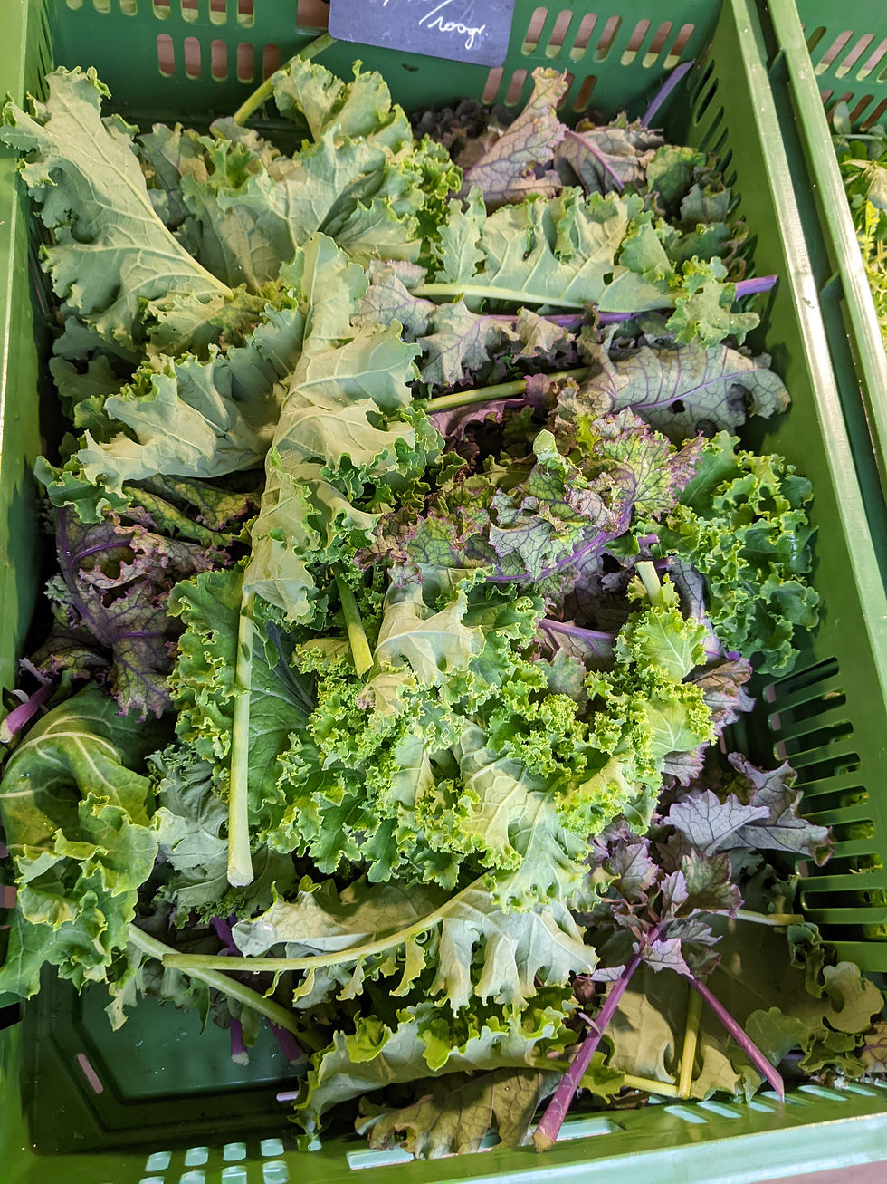 Thumbnail: Chou kale