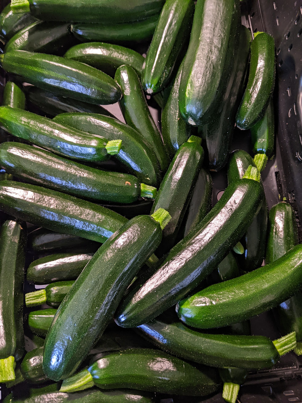 Thumbnail: Zucchini