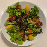 Concours des dernières tomates #1