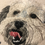 Thumbnail: Thread Painted Custom Pet Portrait