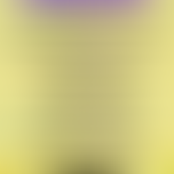 Calendrier des Expositions et Evenements