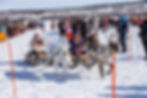 20230408MSP_7391_M.jpg