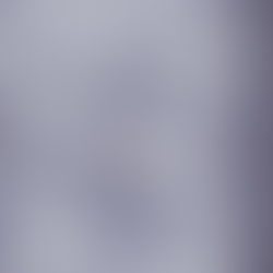 Making Ecologies at the V&A