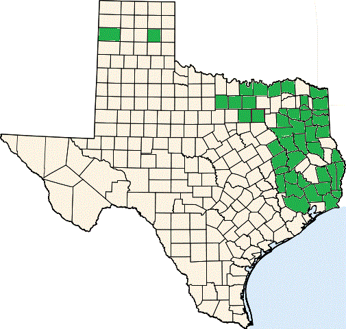 Eastern cooter county range map