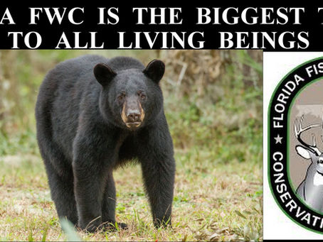 Florida’s FWC agency rife with questions about corruption & controversy