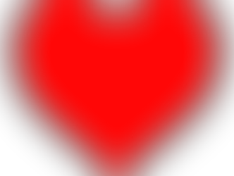 Valentines Day Special