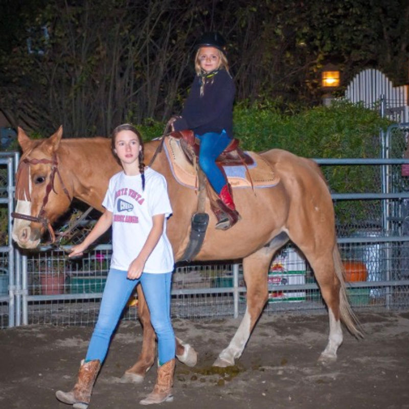 All Seasons Horse Riding