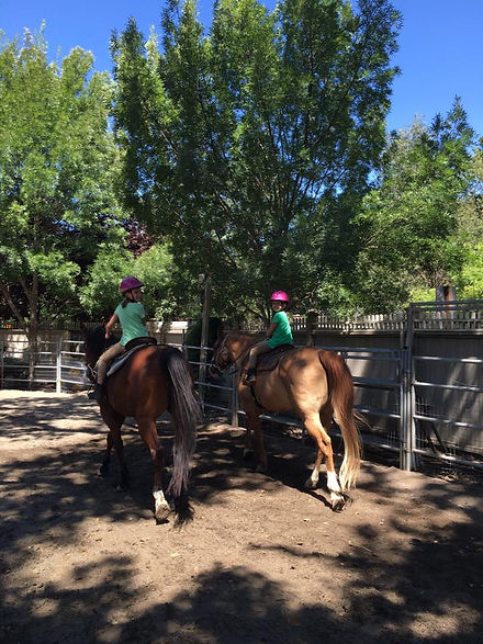 All Seasons Horse Riding - Riding Styles