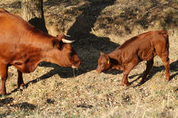 20180917101526_IMG_3377