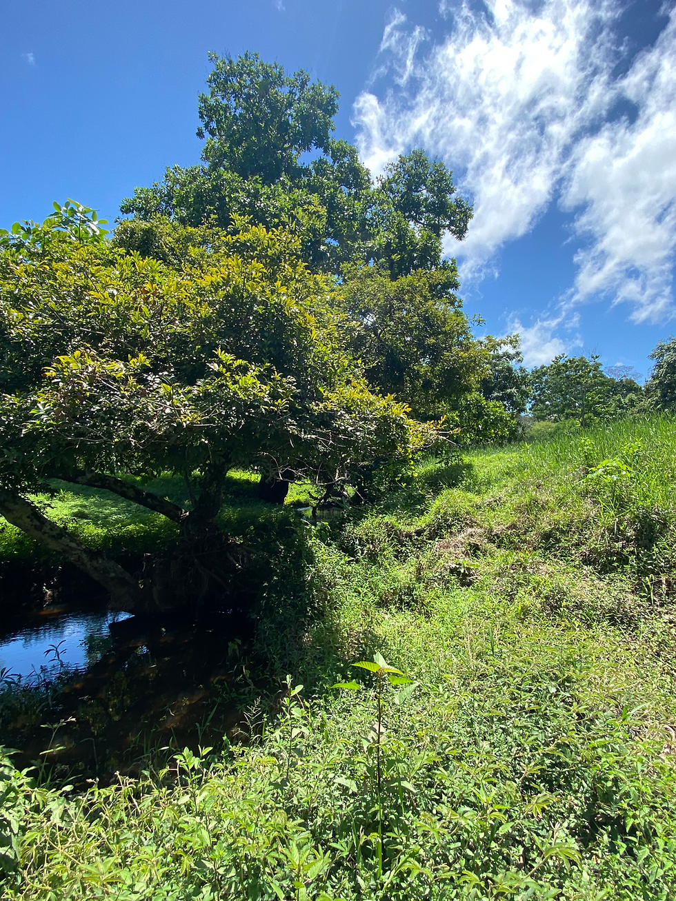 Las Lajas, Chiriqui, Panama