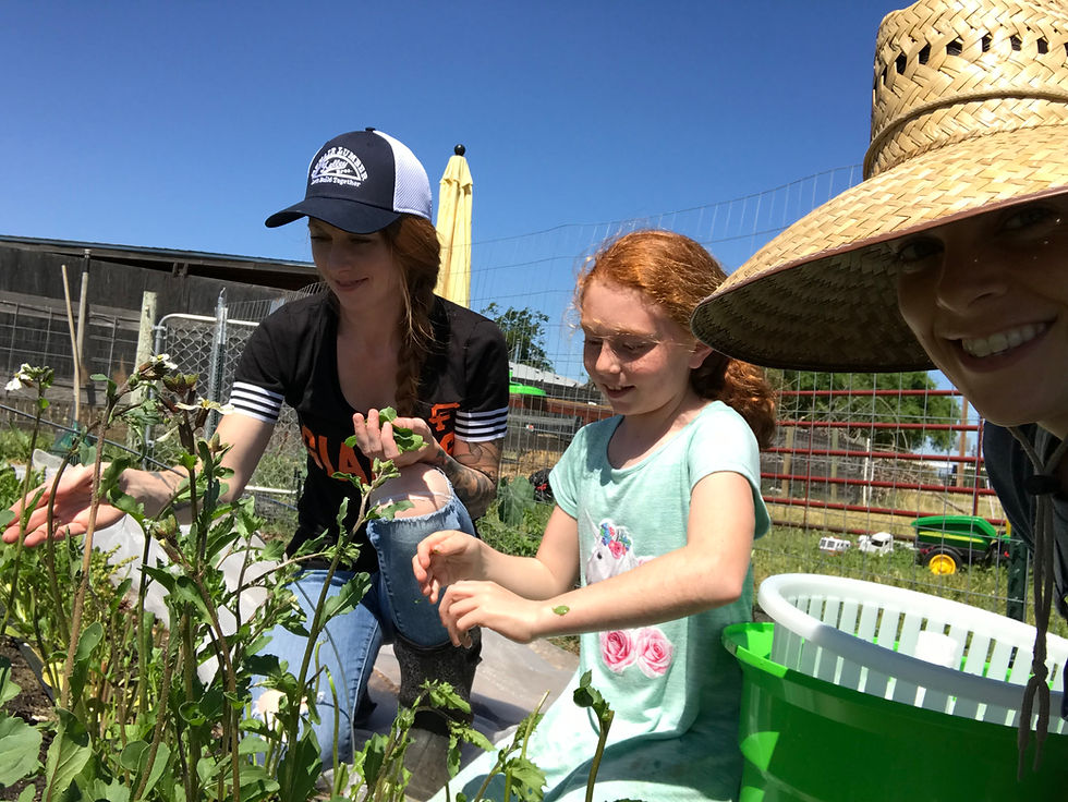 how to start a women's circle / Nourish Farm Panama
