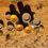 Thumbnail: SOFTENING LIP BALM WITH CALENDULA
