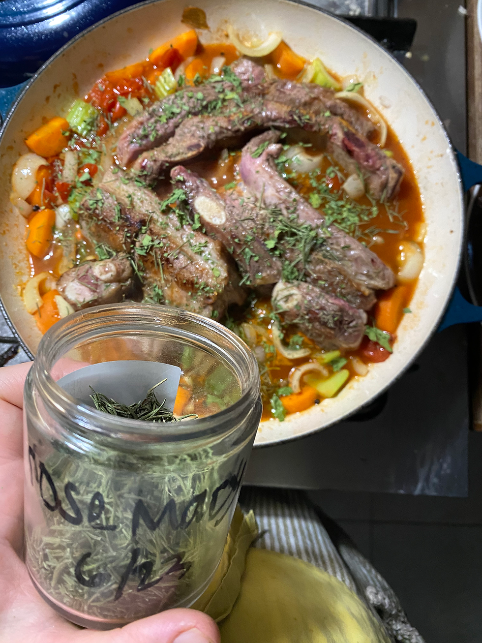 Comfort Food, Settling into our home in Panama