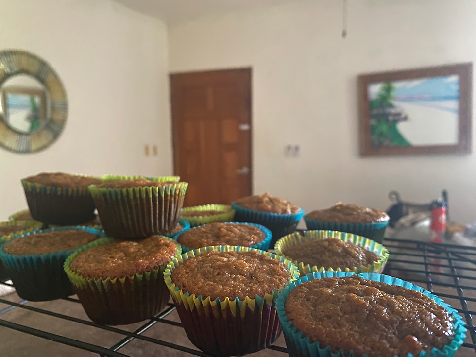 Comfort Food, Settling into our home in Panama