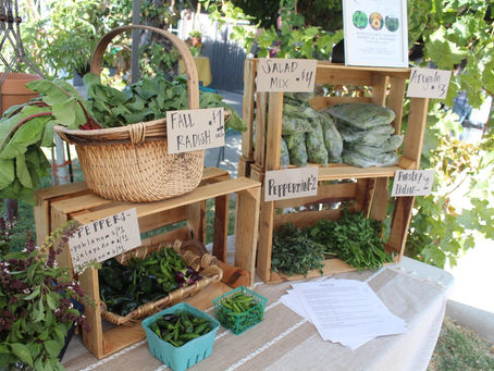 Autumn Harvest Celebration 2019