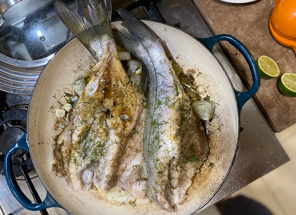 Comfort Food, Settling into our home in Panama