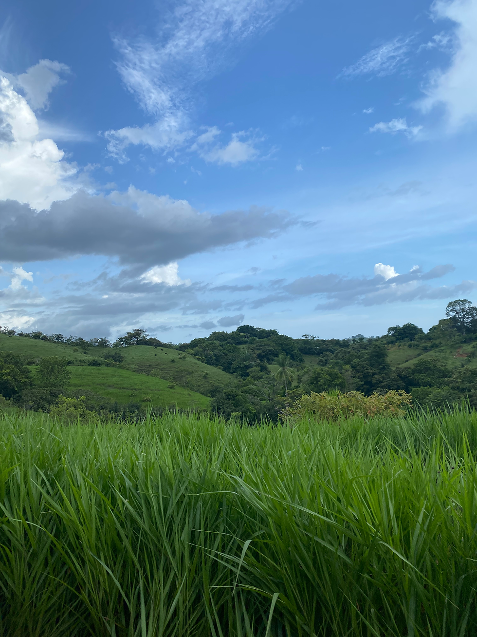 Mariato, Veraguas, Panama