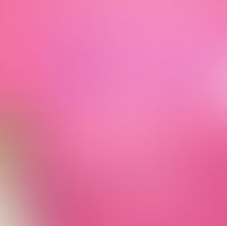 OPEN AUDITIONS: Legally Blonde—The Musical