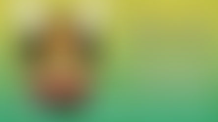 Cast List Announcement - Little Shop of Horrors