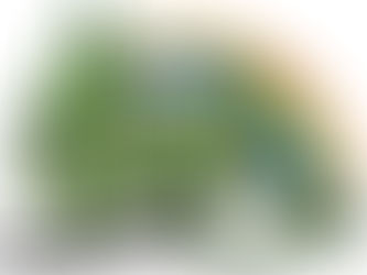 Wizard of Oz Cast List