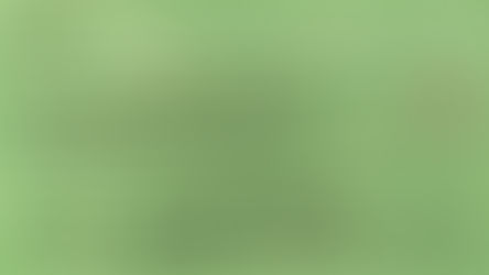 Cast List Announcement - Veterans' Voices Revisited