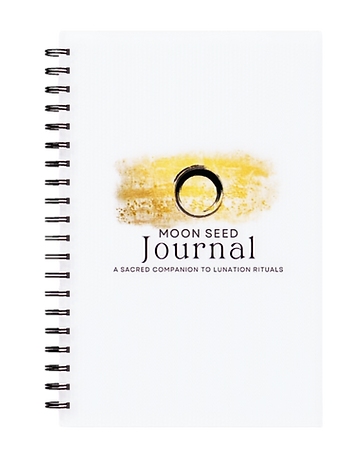 Moonseedjournalcoverv2_edited.png
