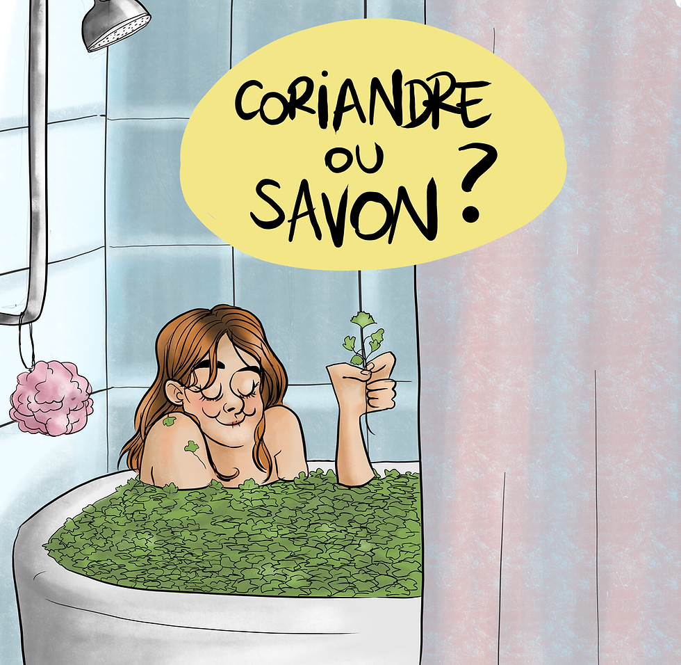 Coriandre ou savon ?