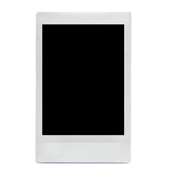Wedding Website Assets (8).png