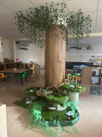tree sensory area