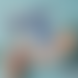 December 2025 Newsletter