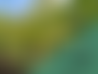 BC Hydro Community ReGreening Program