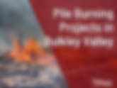 Pile Burning Projects in Bulkley Valley
